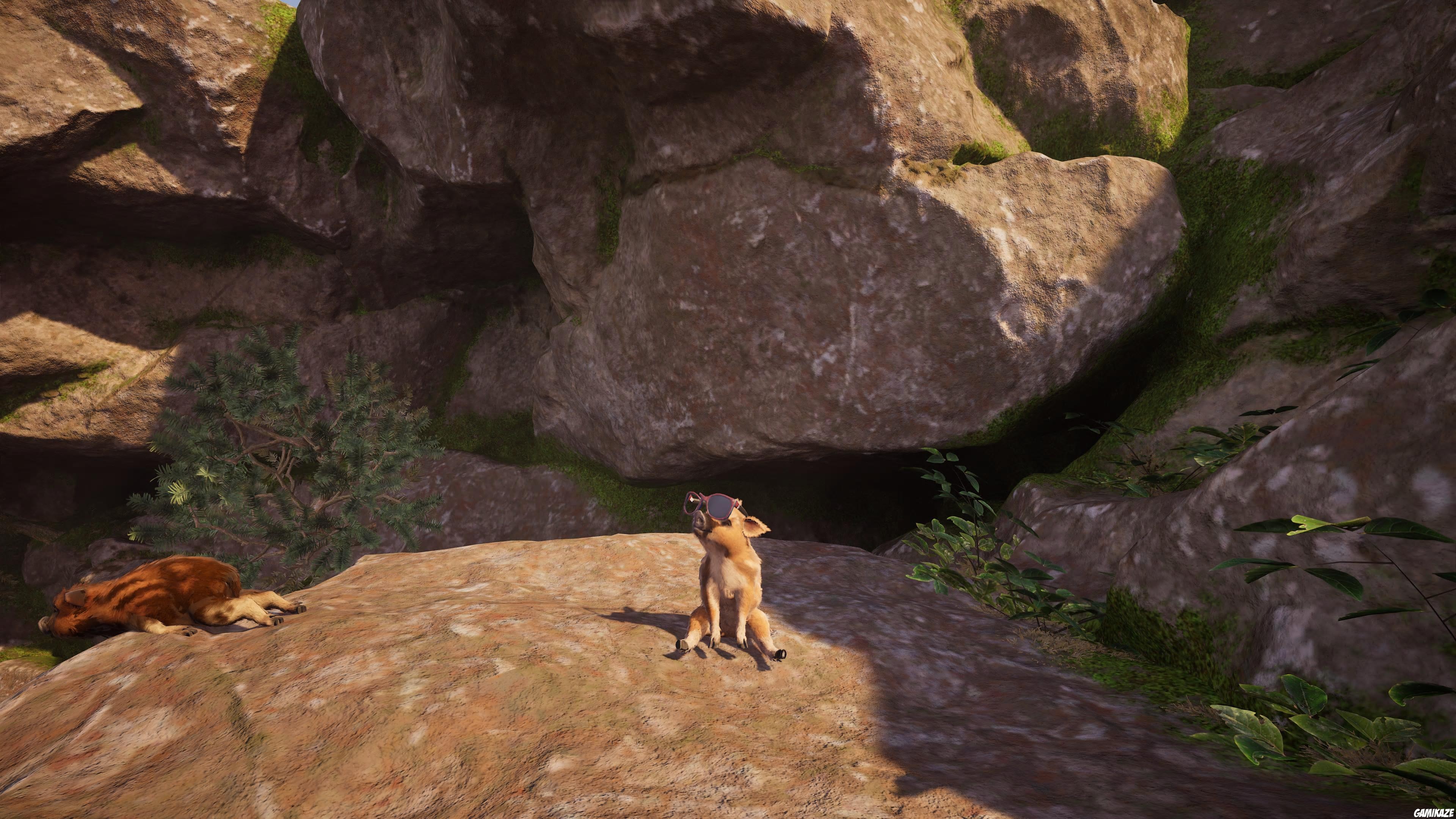 Adorable Adventures