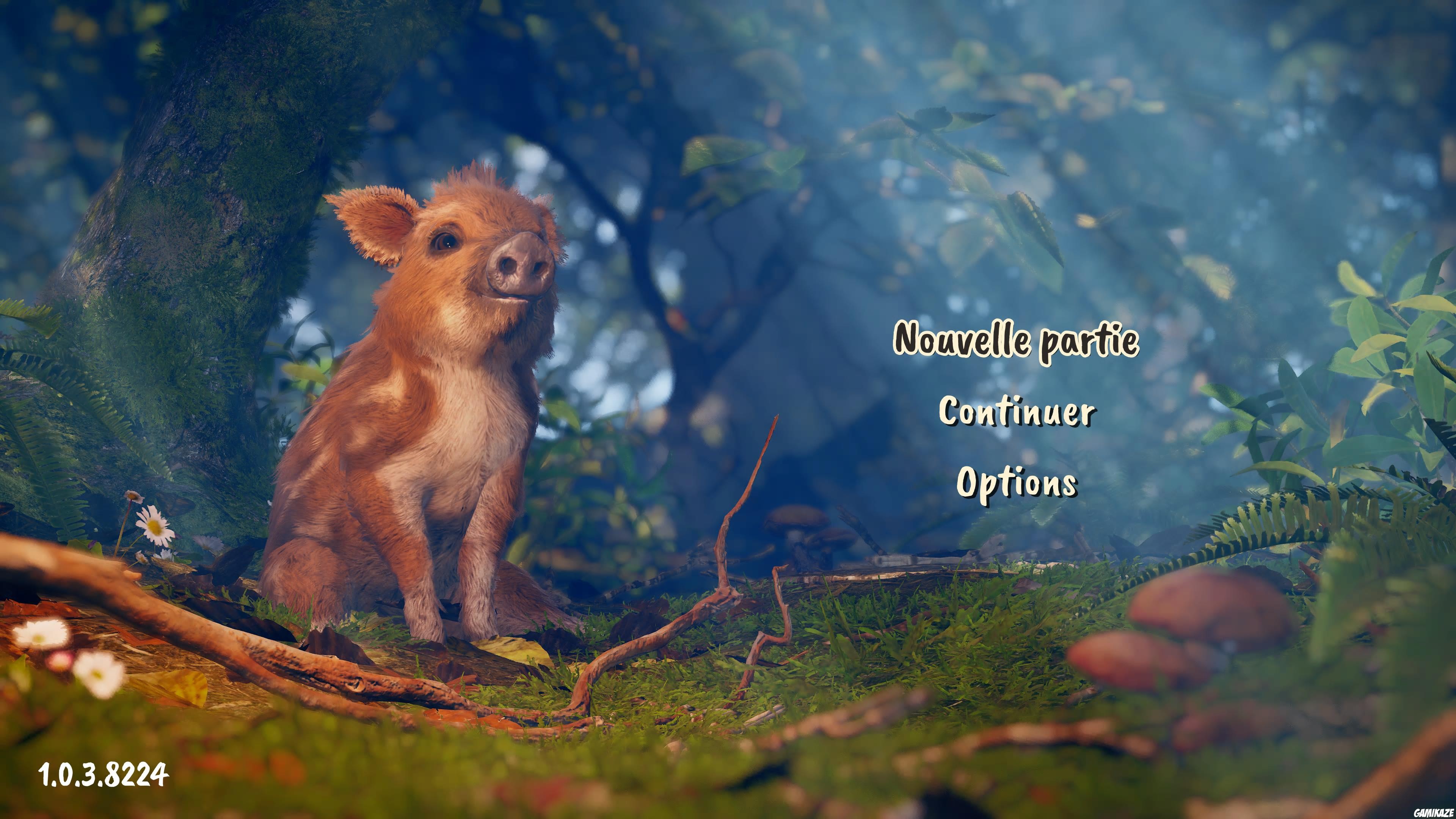Adorable Adventures