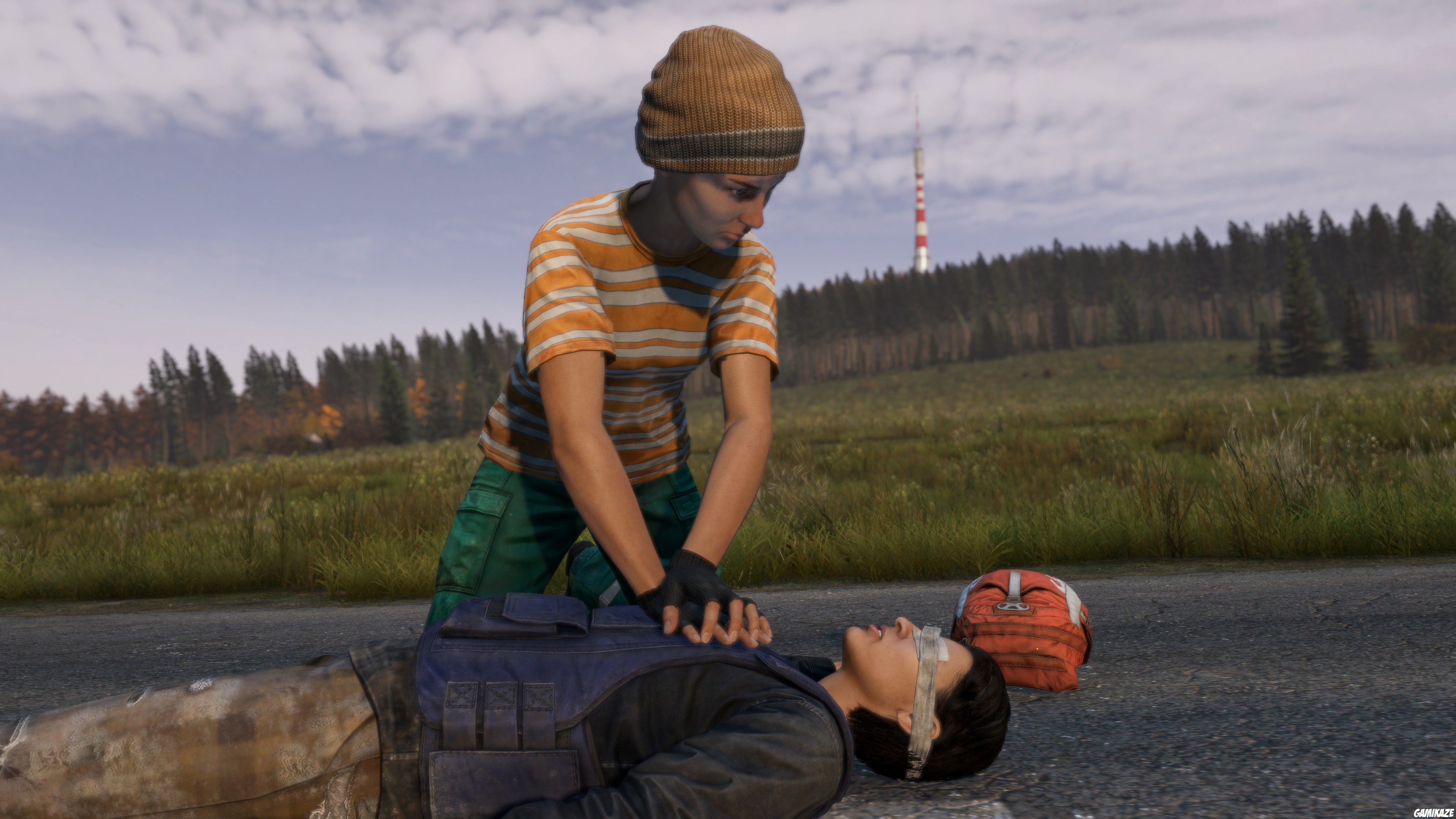 switch2 - DayZ Cool Edition