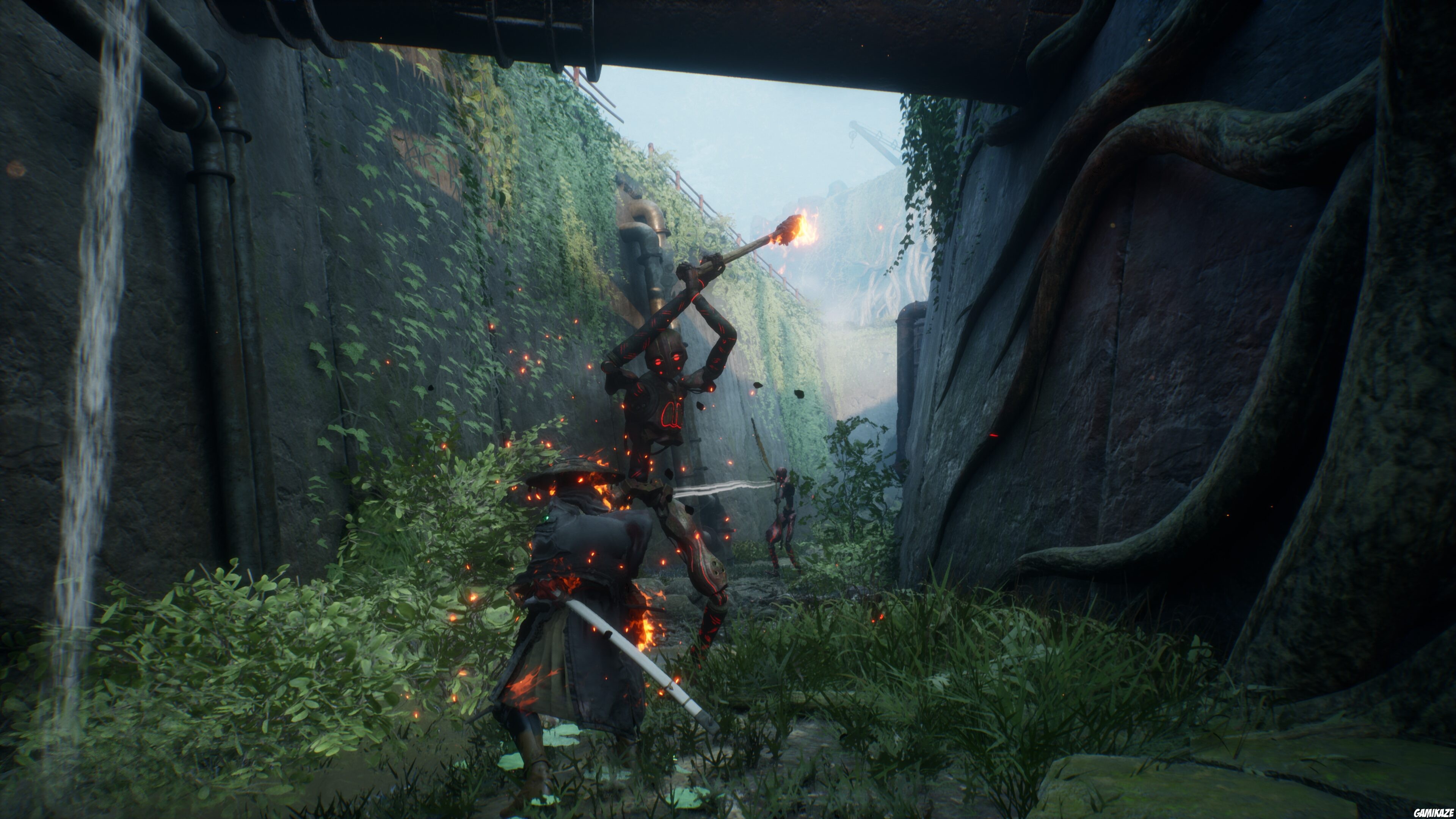 Beast of Reincarnation