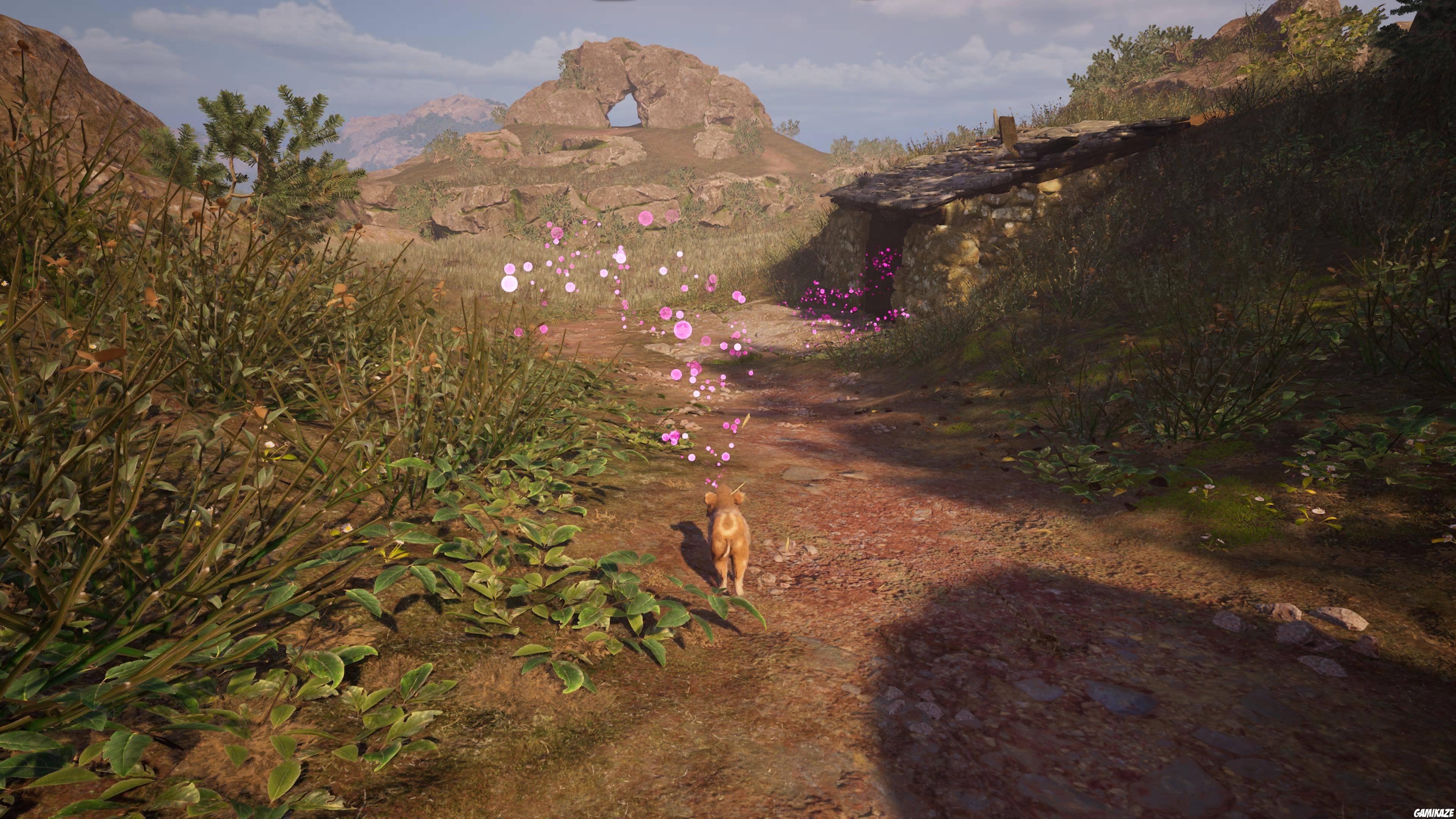 Adorable Adventures