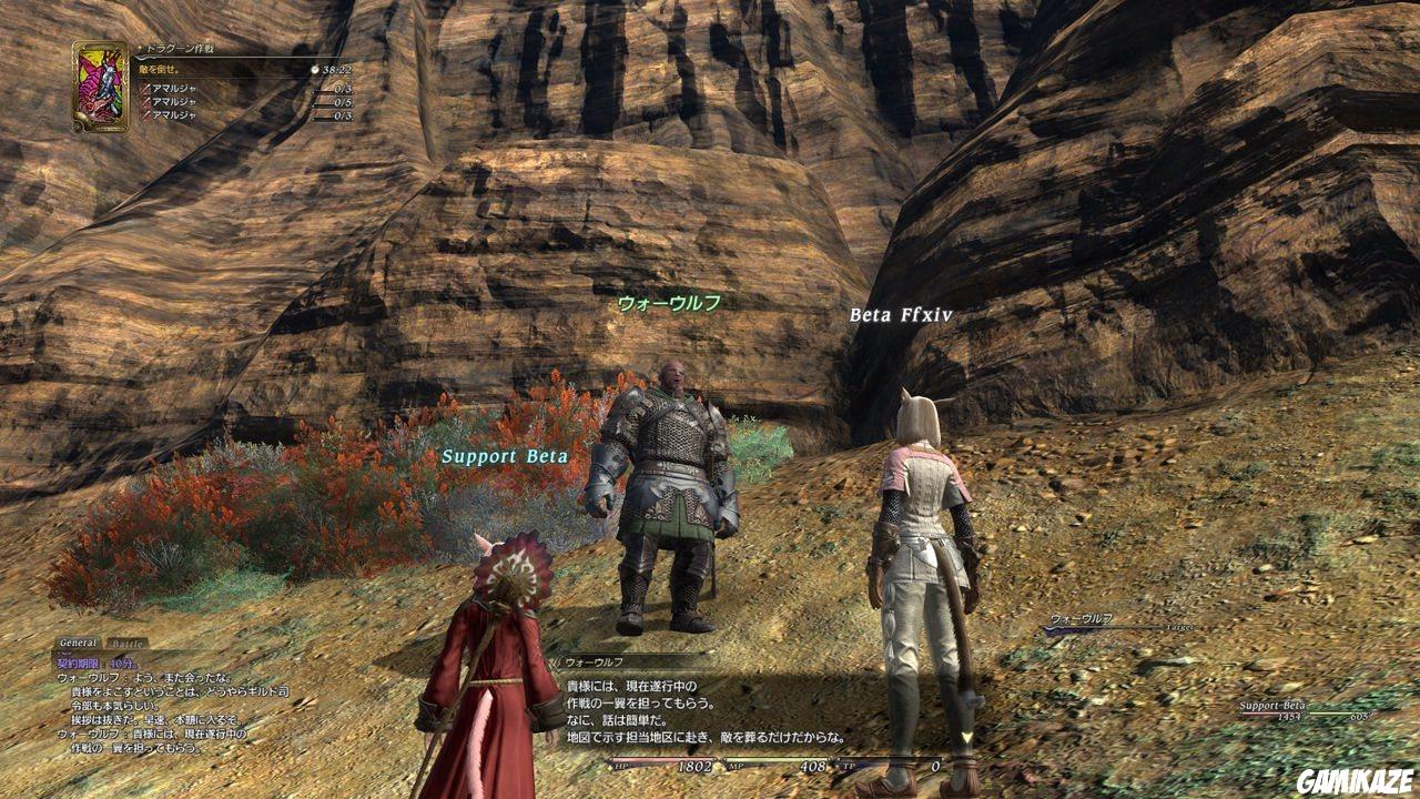 Final Fantasy XIV Online