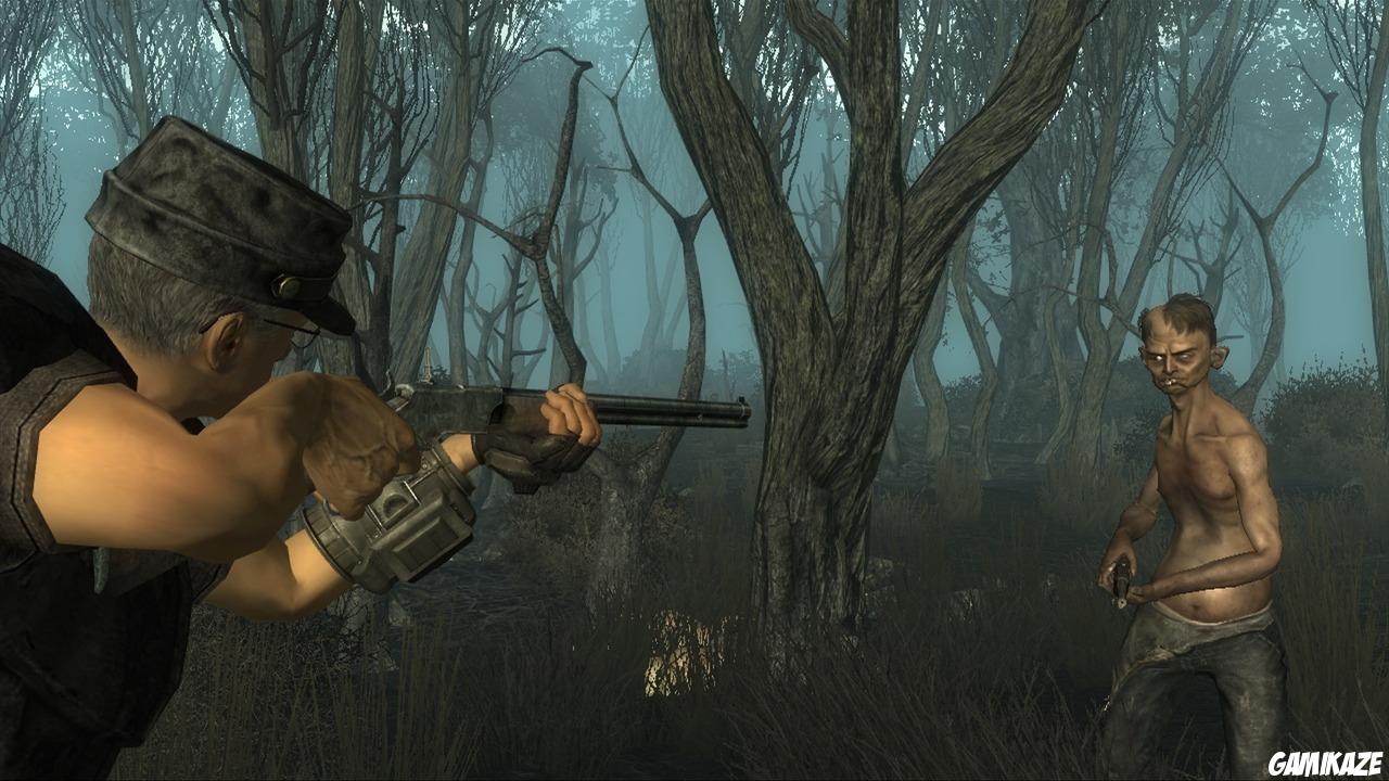 Fallout 3 : Point Lookout