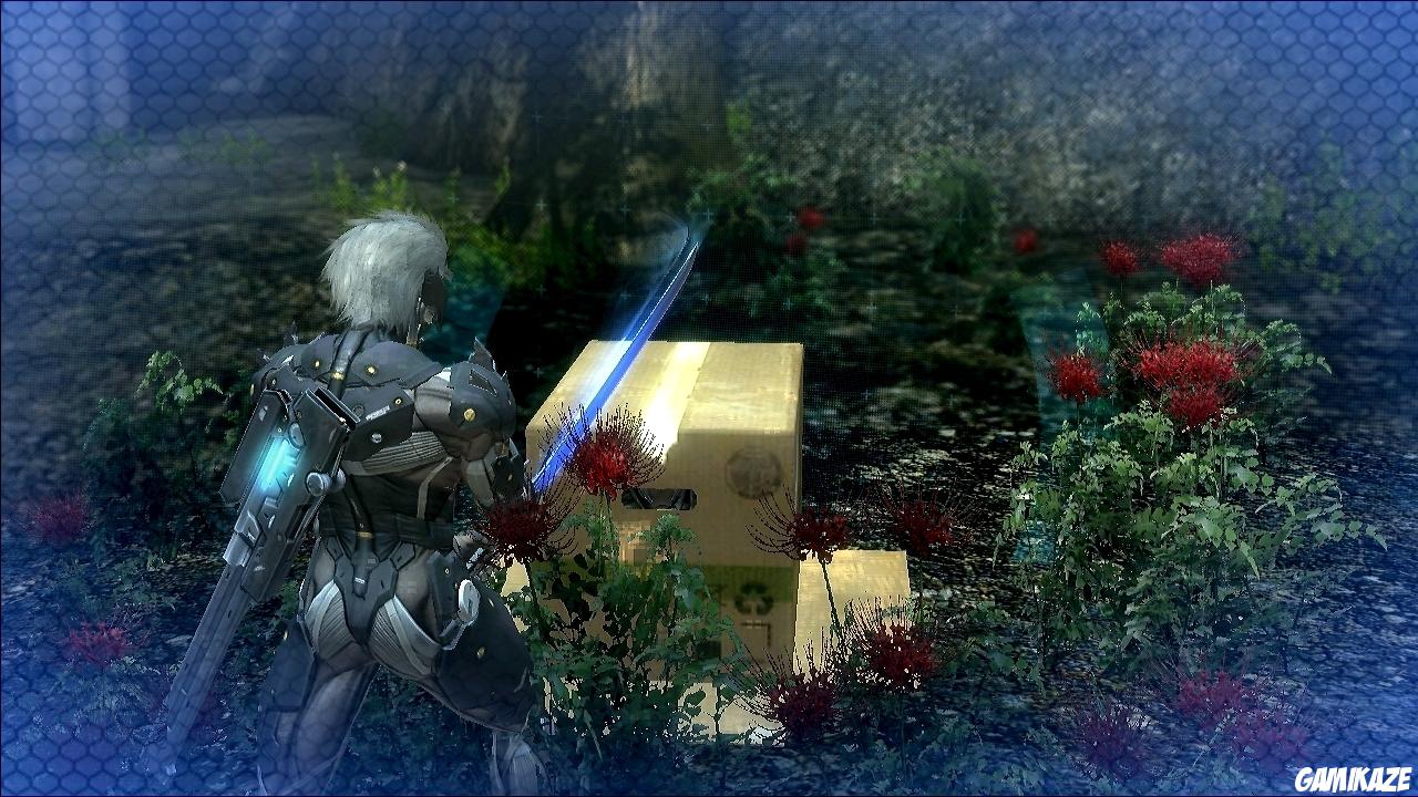 Metal Gear Solid  Rising