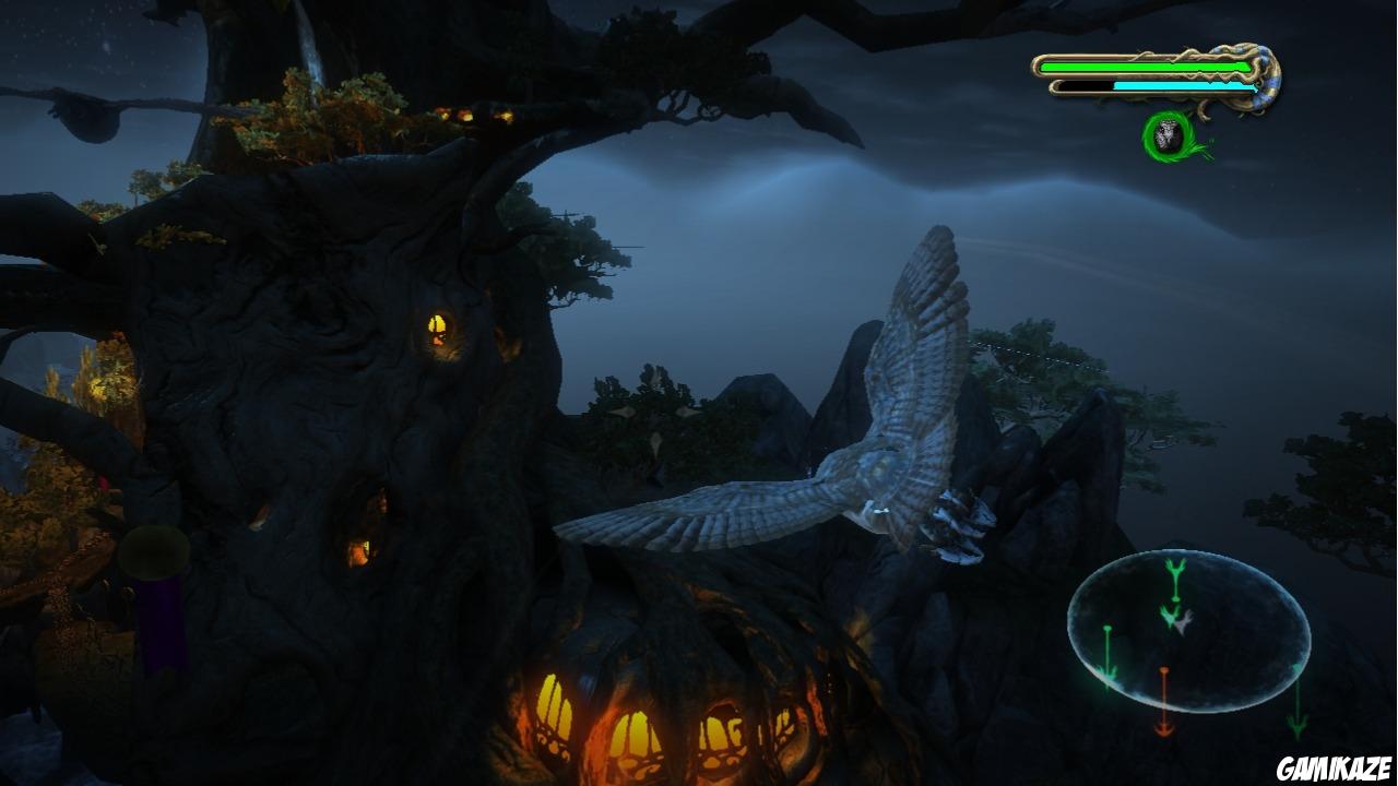 Le Royaume de Ga'Hoole : La Légende des Gardiens - Le Jeu Vidéo