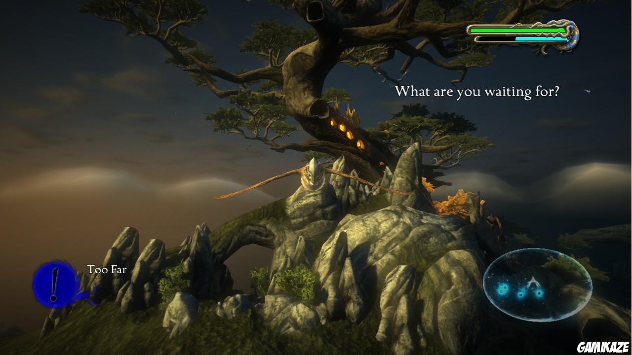 Le Royaume de Ga'Hoole : La Légende des Gardiens - Le Jeu Vidéo