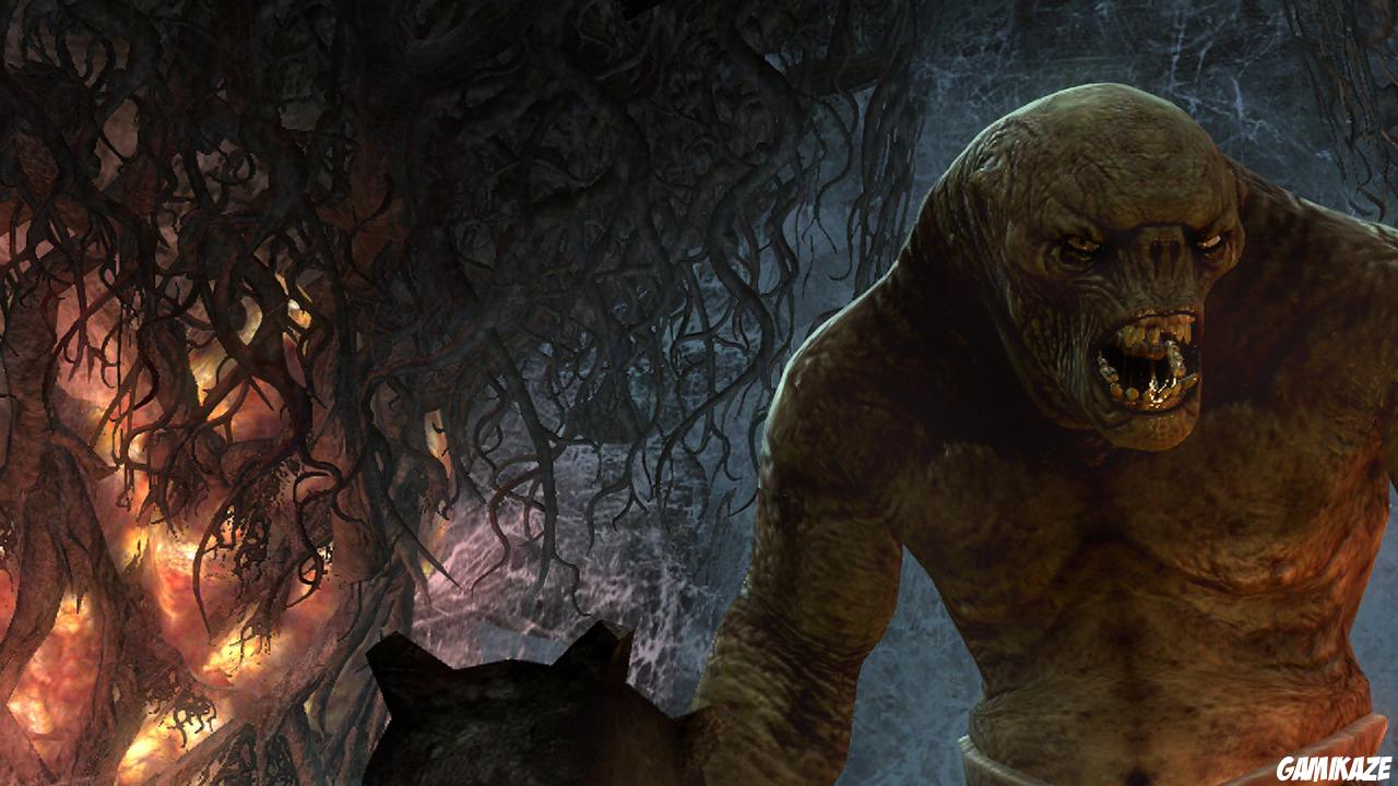 Le Seigneur des Anneaux : La Guerre du Nord