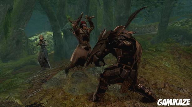 Le Seigneur des Anneaux : La Guerre du Nord