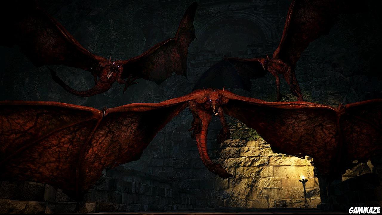 Dragon's Dogma