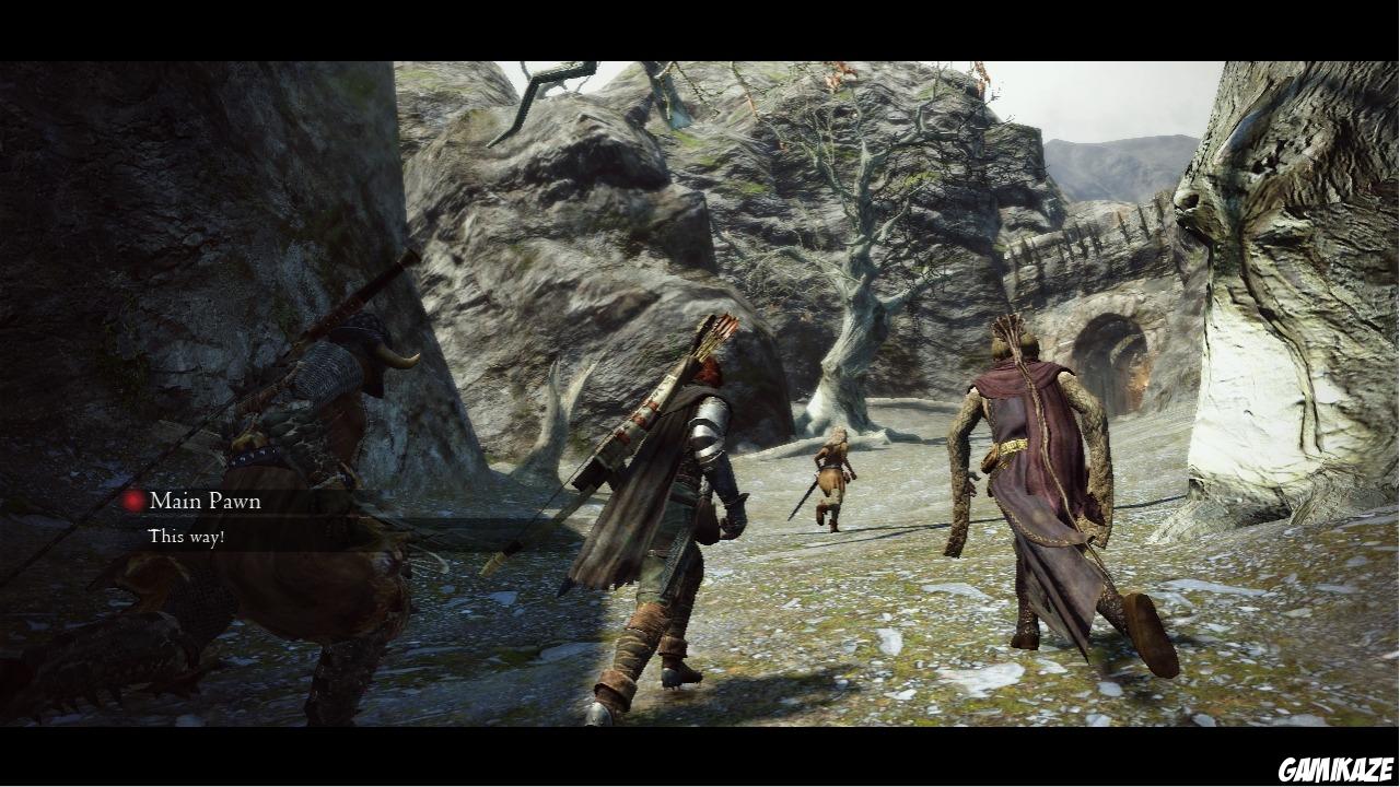 Dragon's Dogma