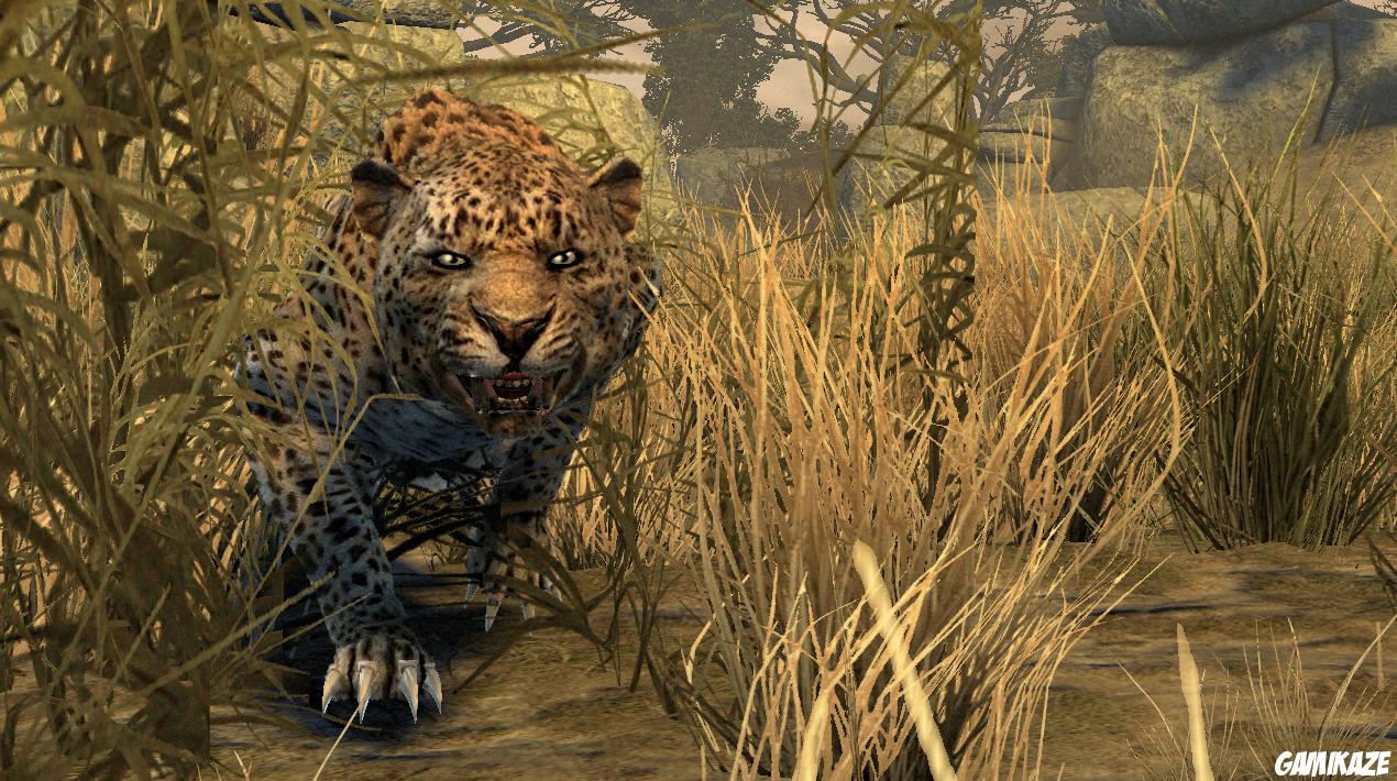 Cabela's Dangerous Hunts 2011