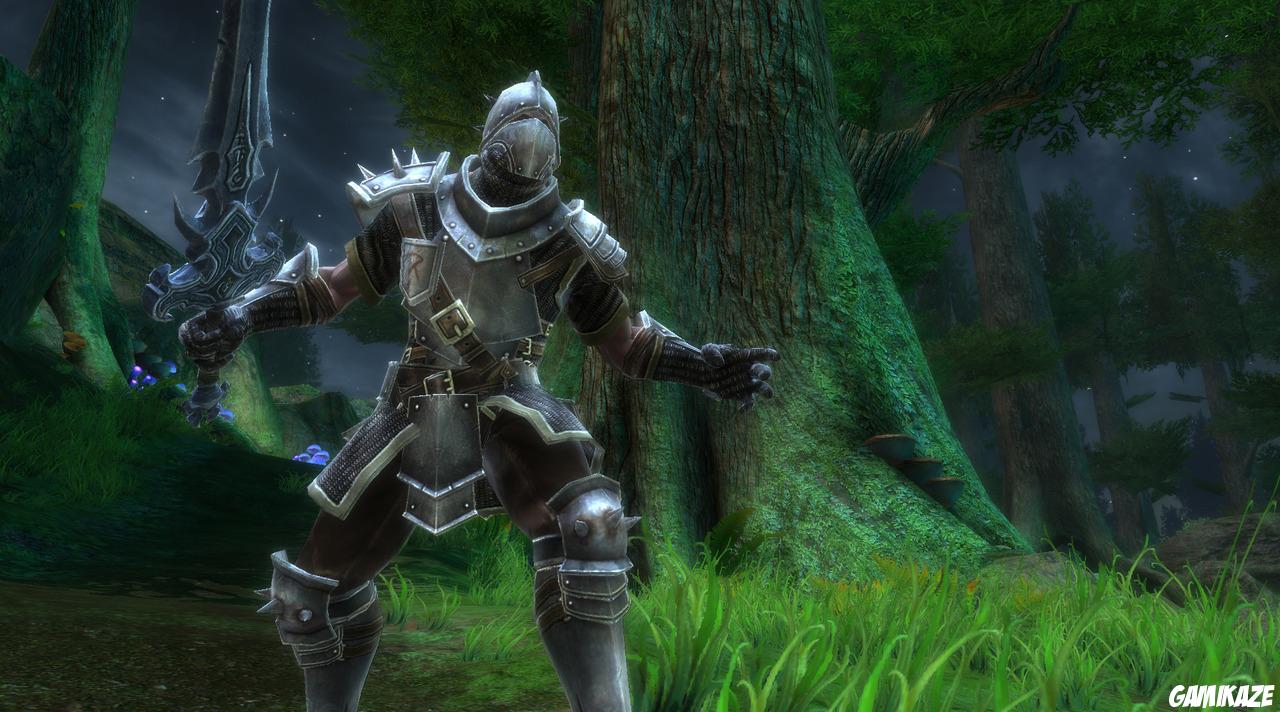 Les Royaumes d'Amalur : Reckoning