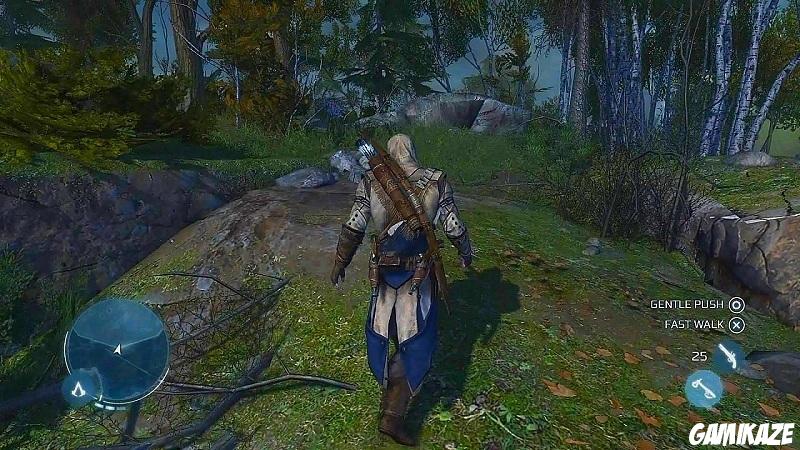 Assassin's Creed III