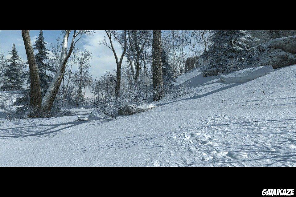 Assassin's Creed III