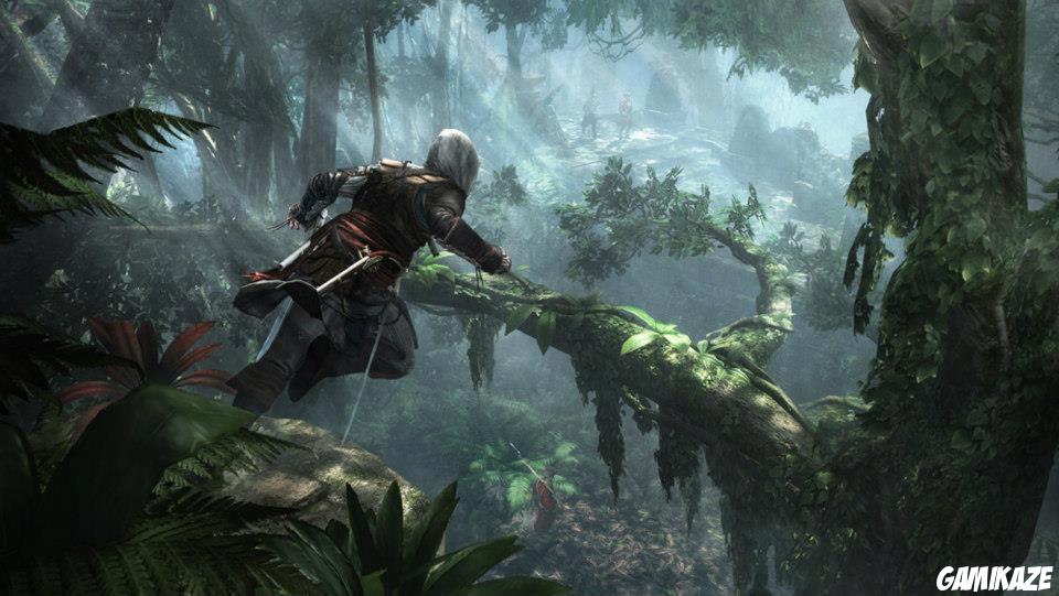 Assassin's Creed IV : Black Flag