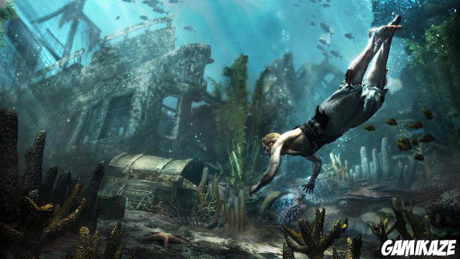 Assassin's Creed IV : Black Flag