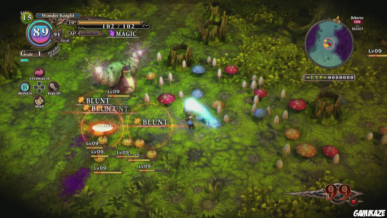 The Witch and the Hundred Knight