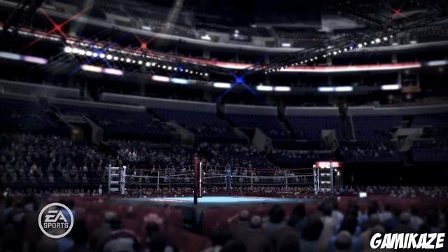 Fight Night : Round 3