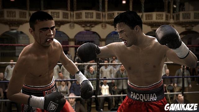 Fight Night : Round 3