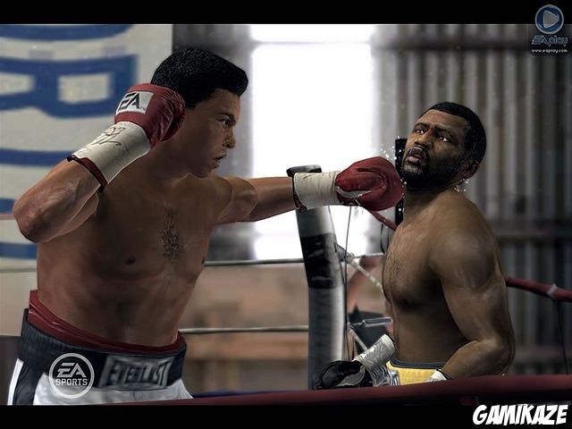 Fight Night : Round 3