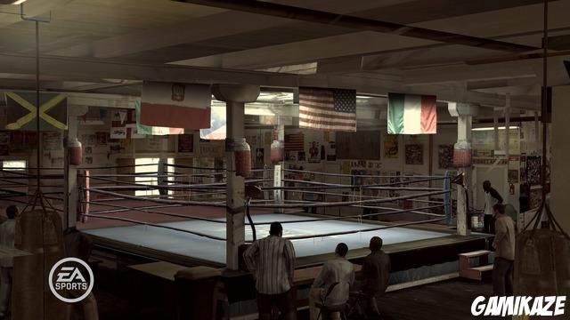 Fight Night : Round 3