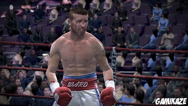 Fight Night : Round 3