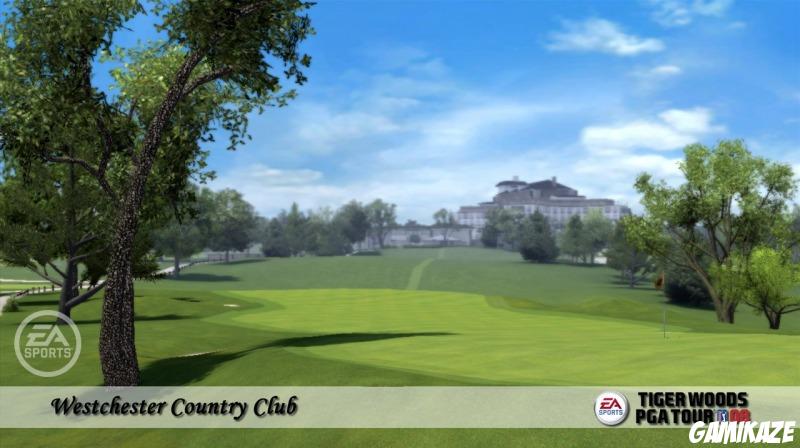 Tiger Woods PGA Tour 08
