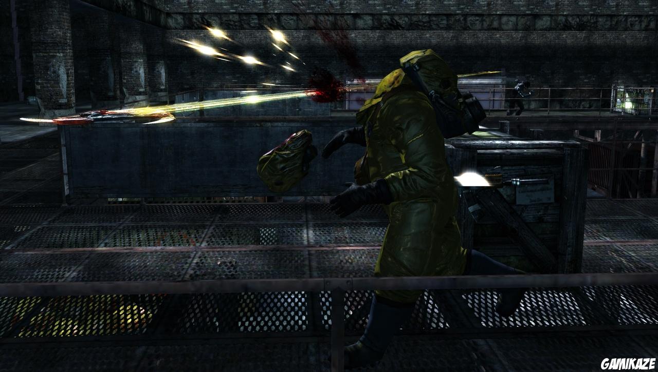 Dark Sector