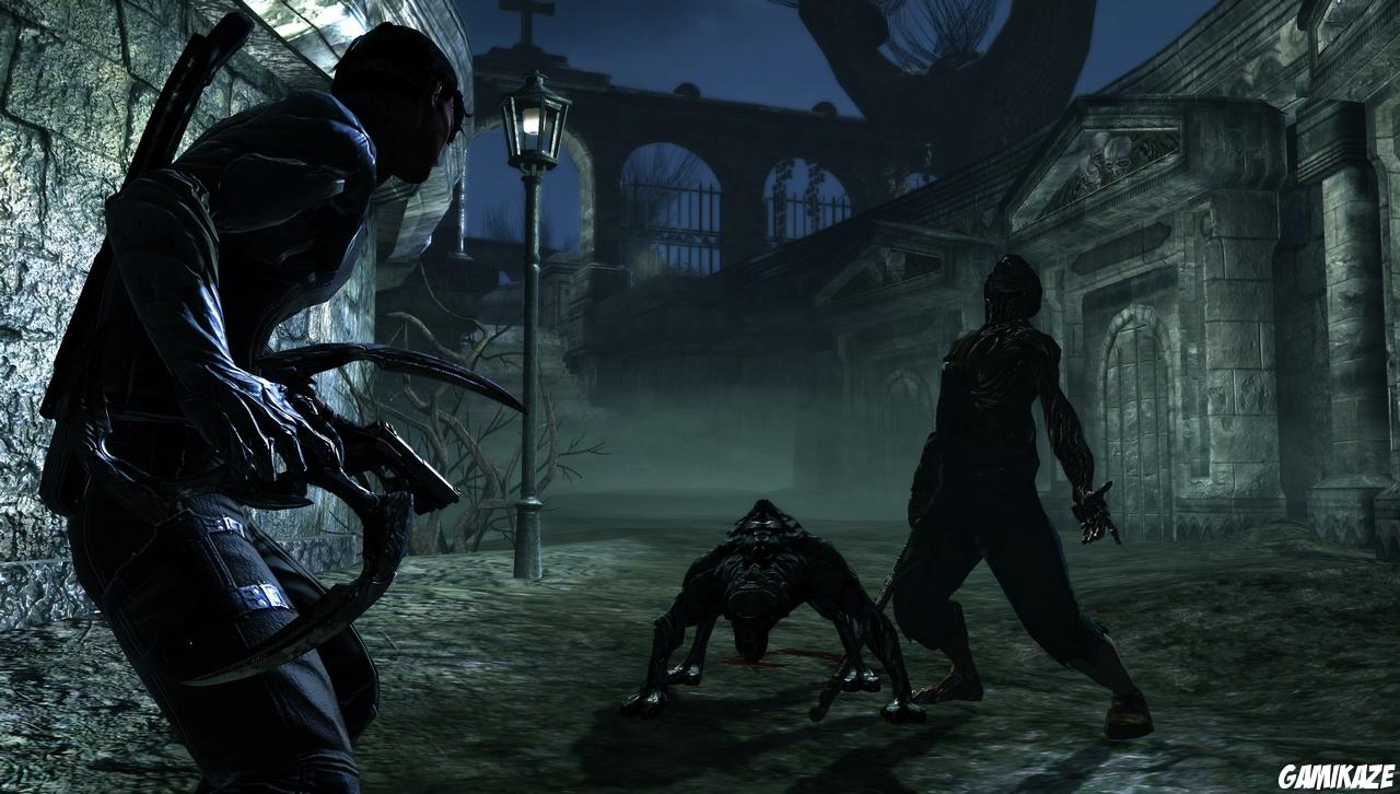 Dark Sector