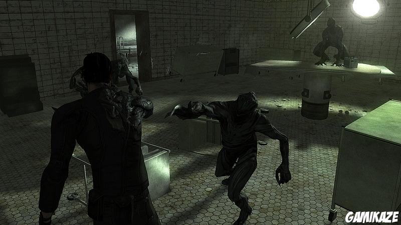 Dark Sector