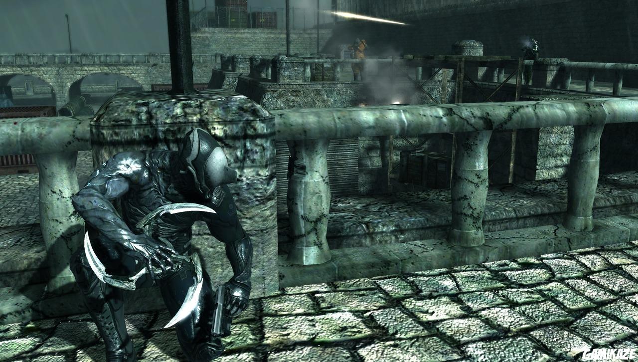Dark Sector