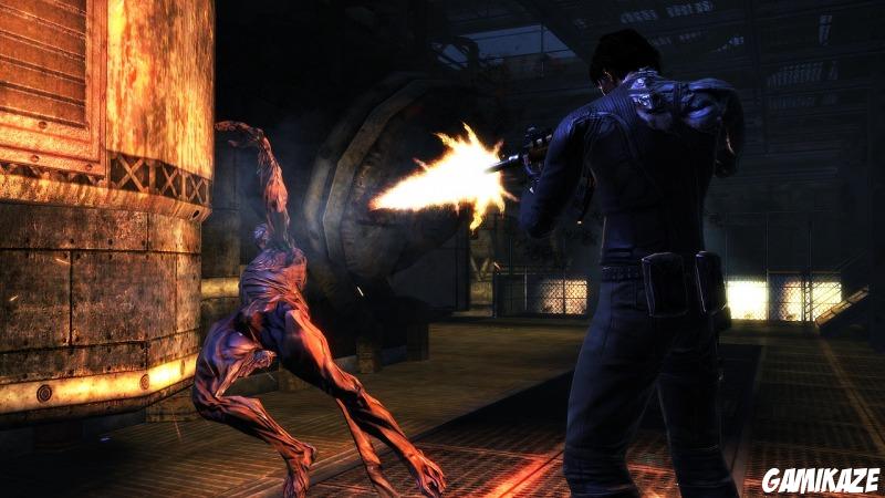 Dark Sector