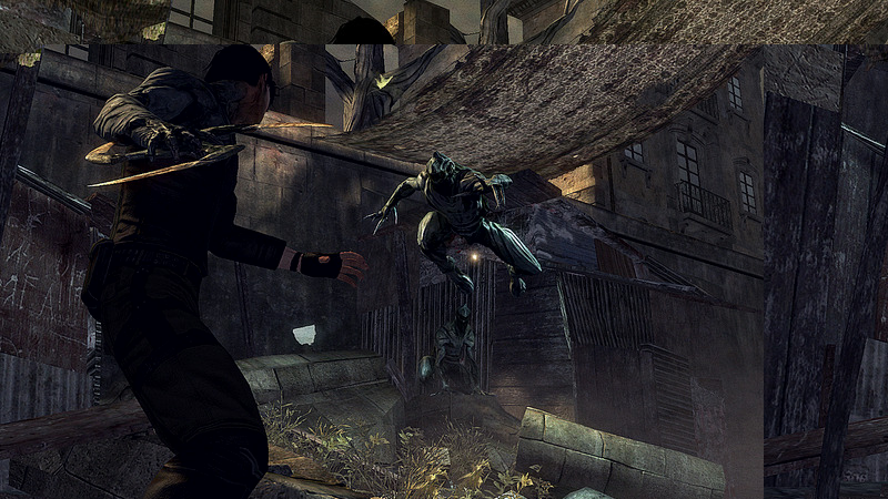 Dark Sector