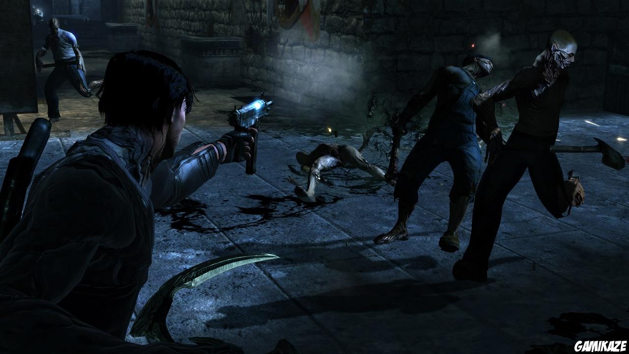 Dark Sector