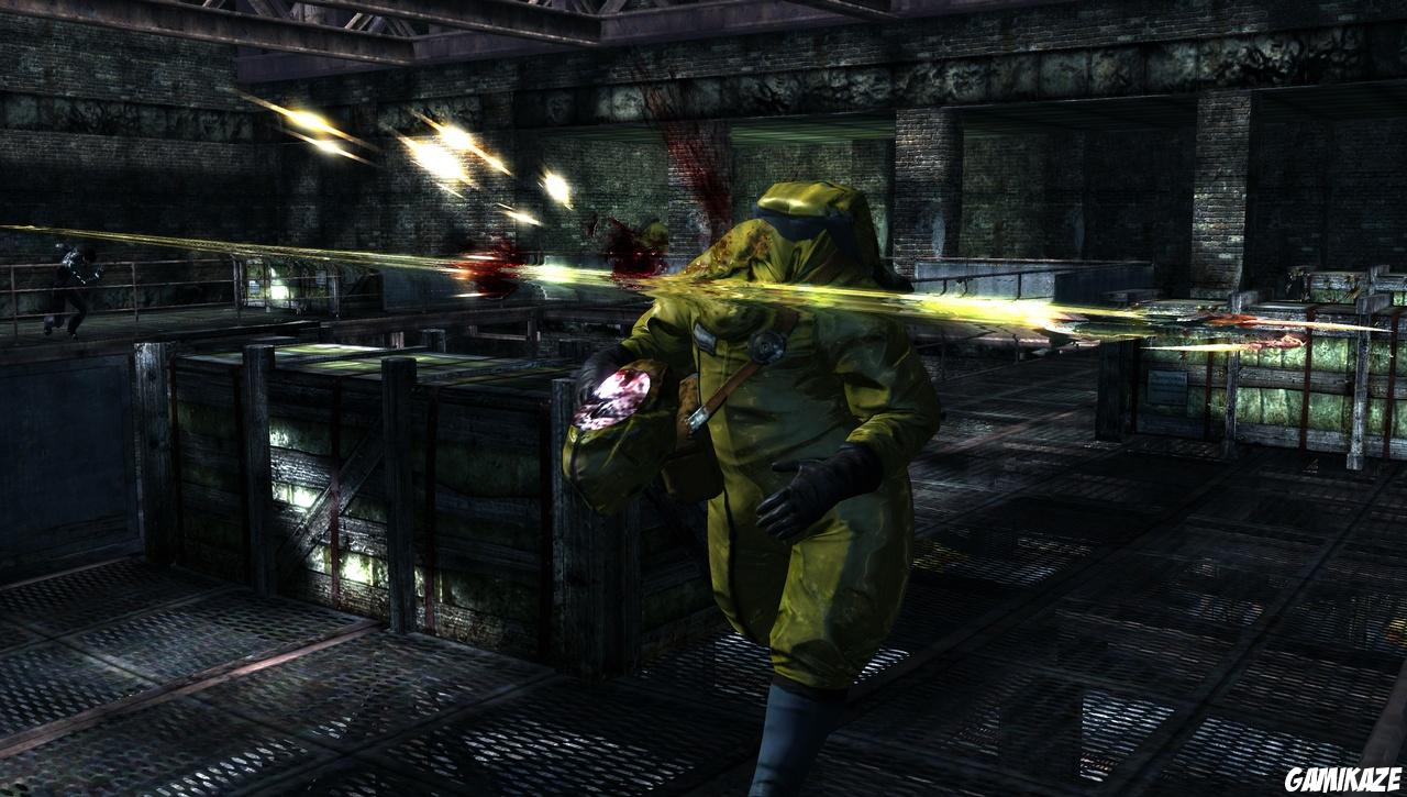 Dark Sector