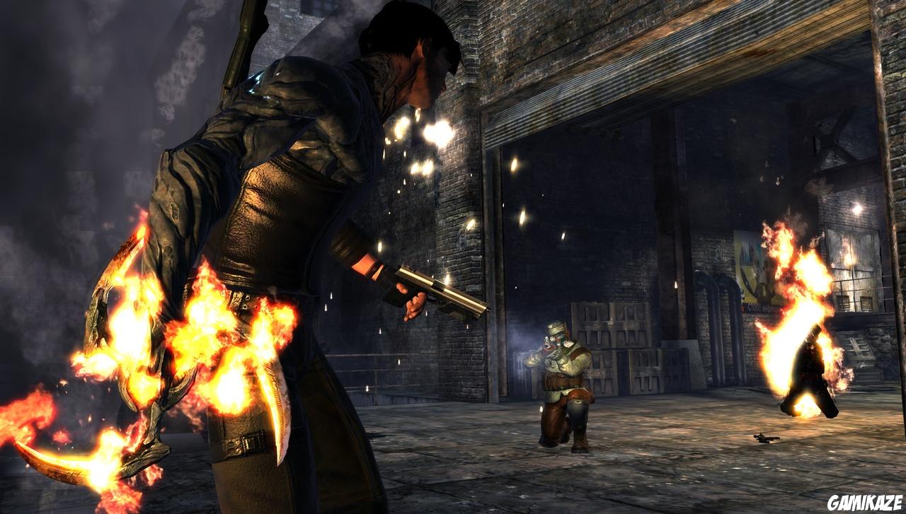 Dark Sector