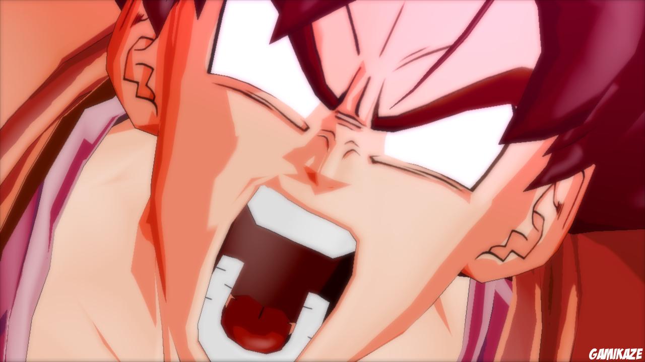 Dragon Ball Z : Burst Limit