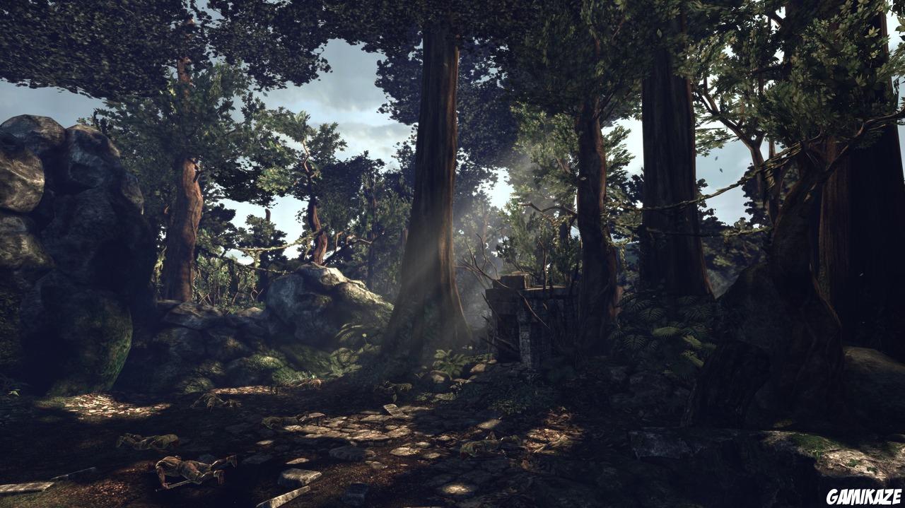 X-Men Origins : Wolverine