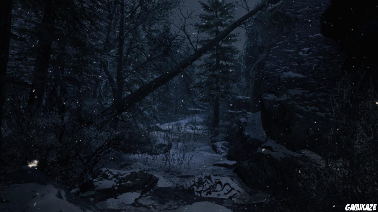 X-Men Origins : Wolverine