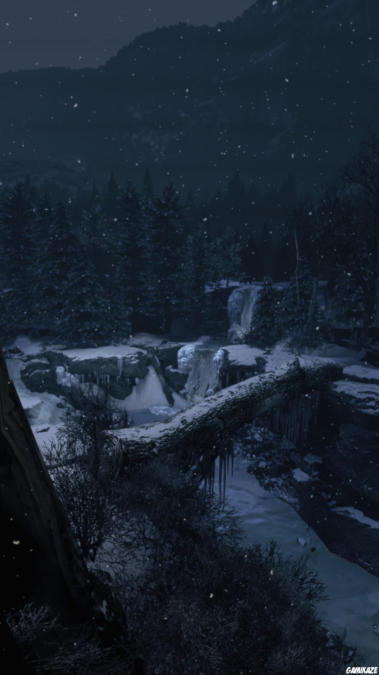 X-Men Origins : Wolverine