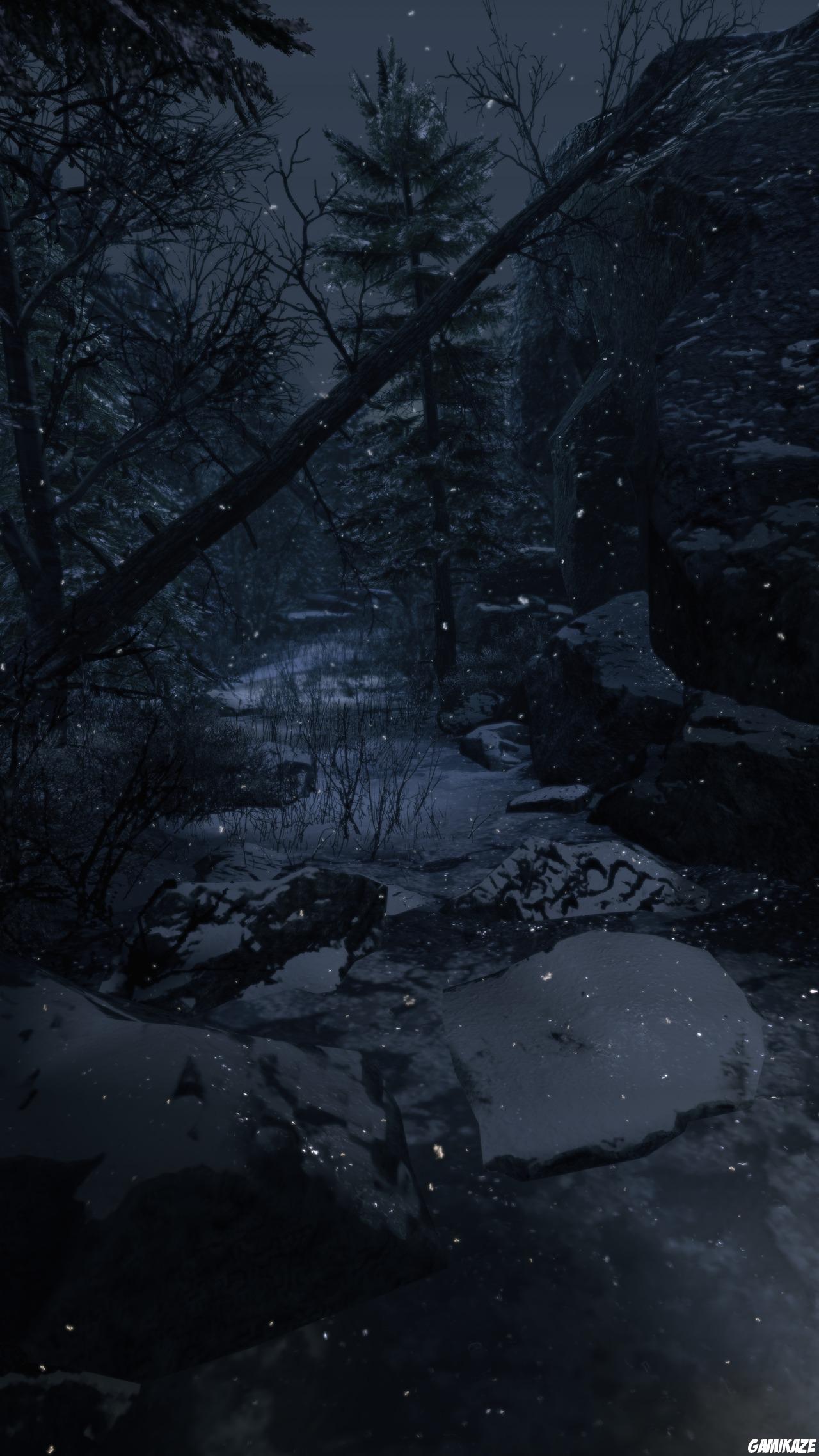 X-Men Origins : Wolverine