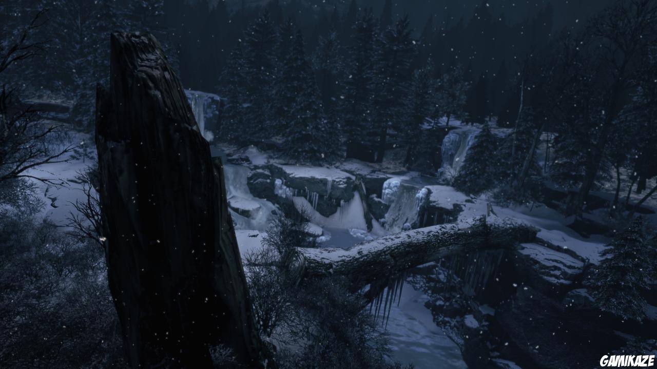 X-Men Origins : Wolverine