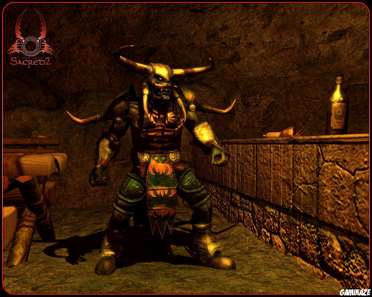 Sacred 2 : Fallen Angel