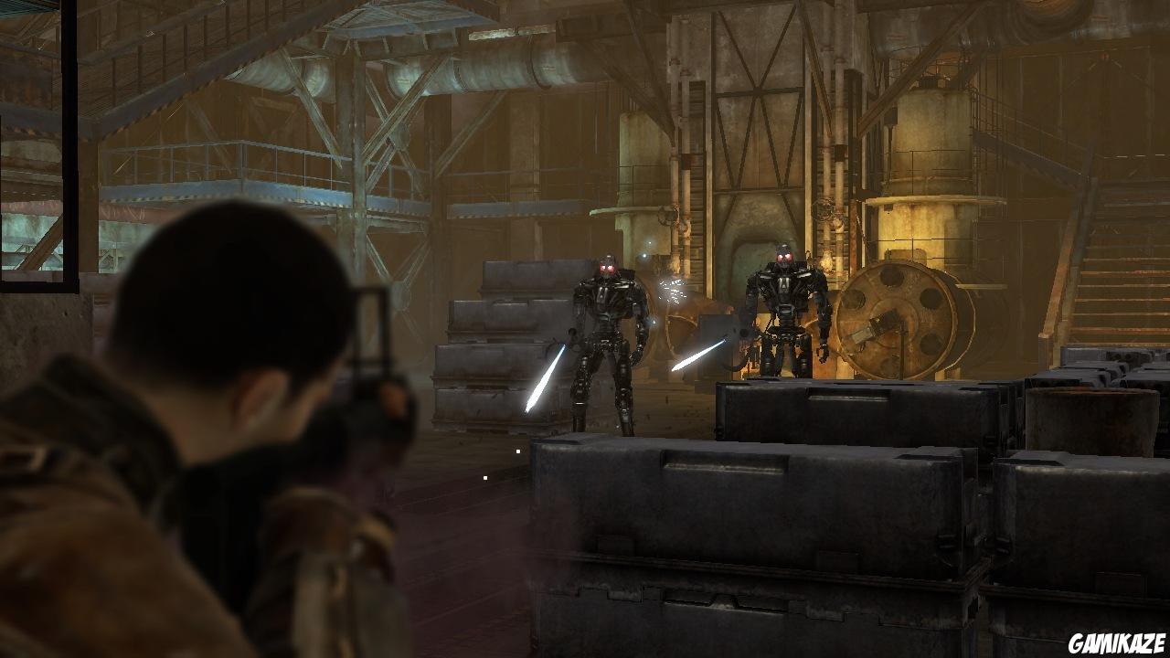 Terminator Renaissance