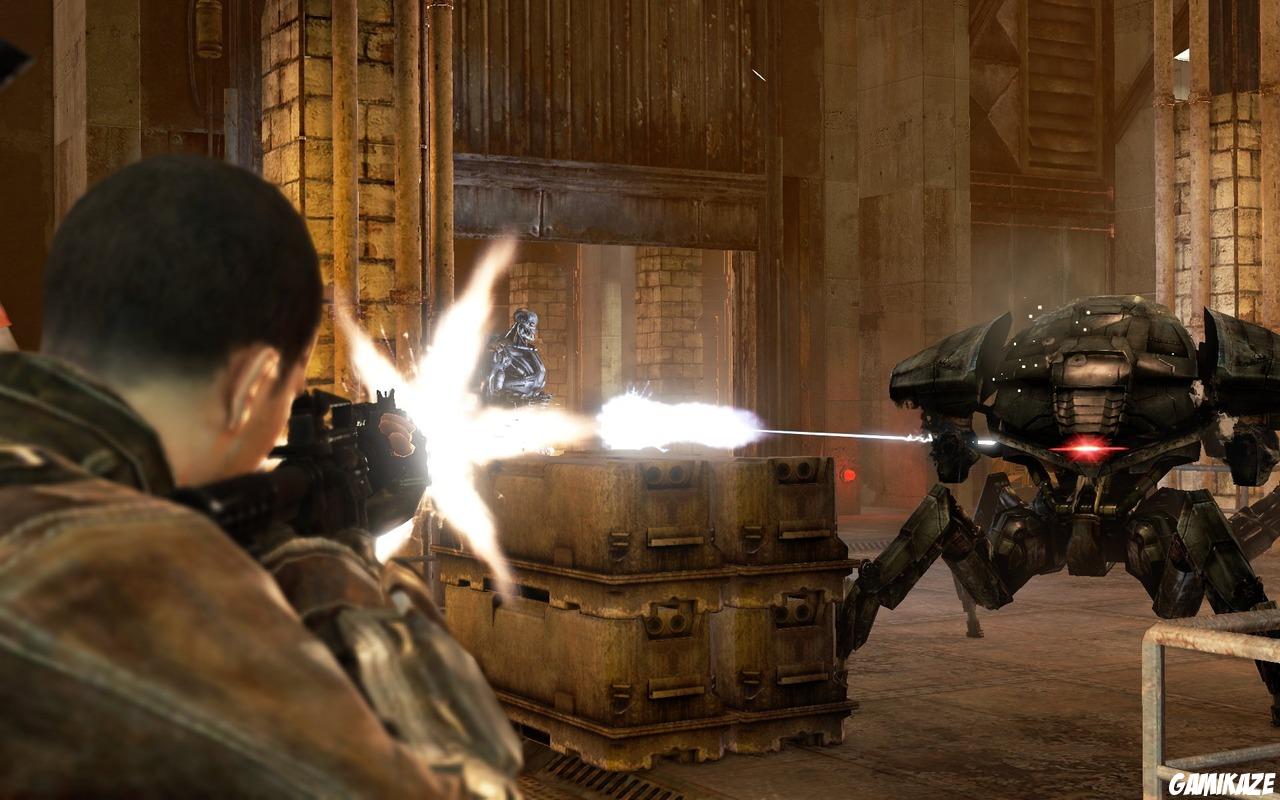 Terminator Renaissance