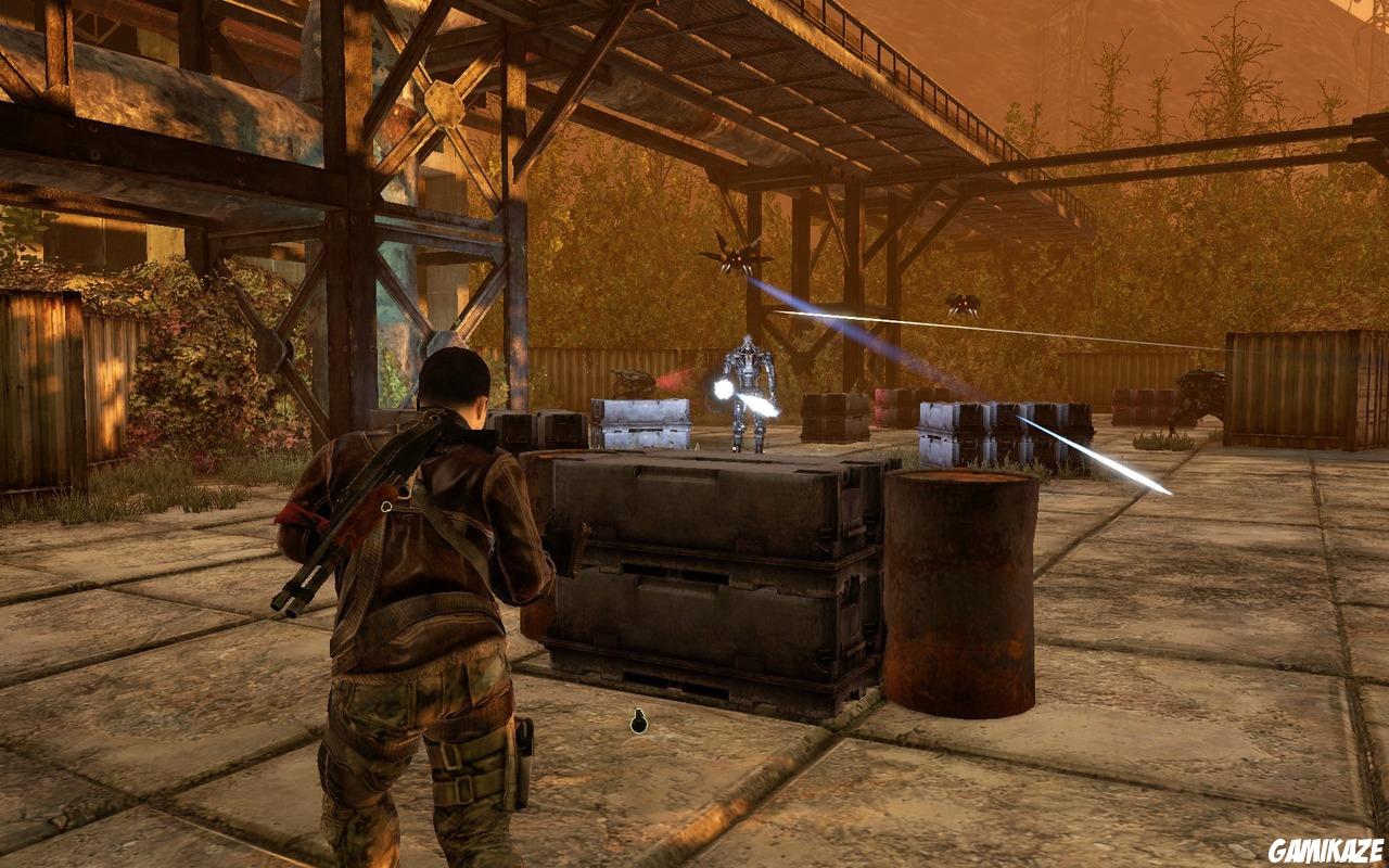 Terminator Renaissance