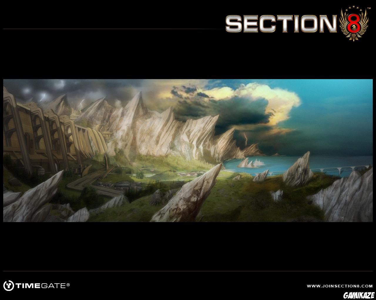 Section 8