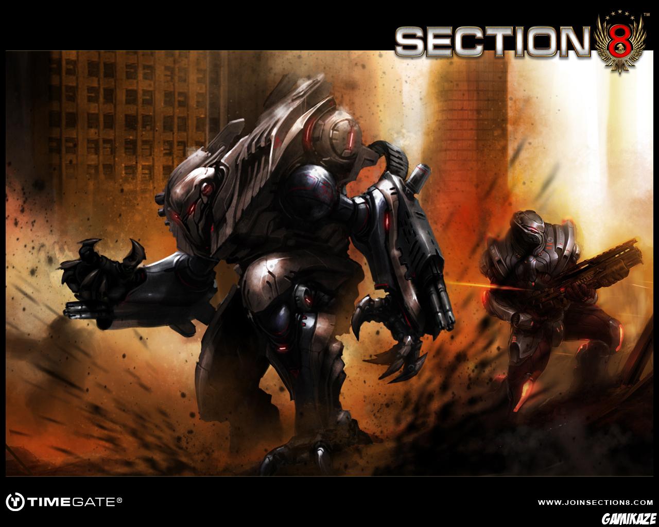 Section 8