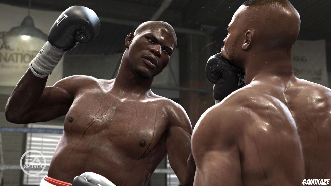 Fight Night : Round 4