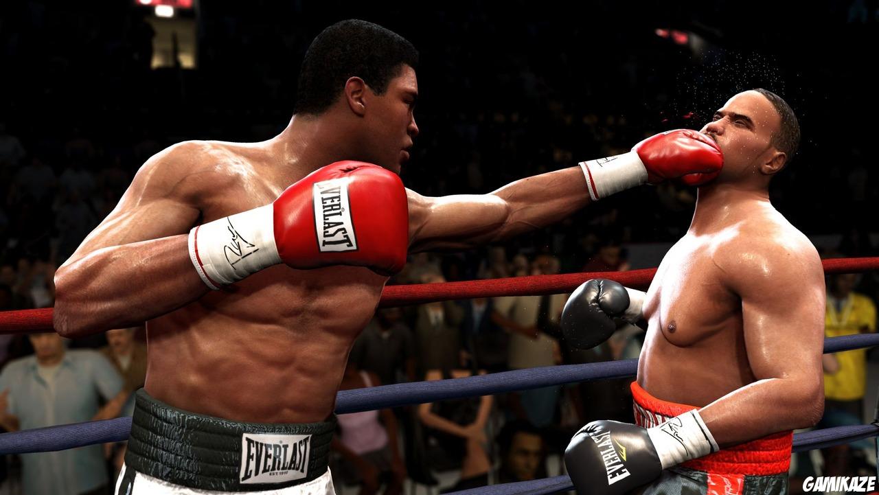 Fight Night : Round 4